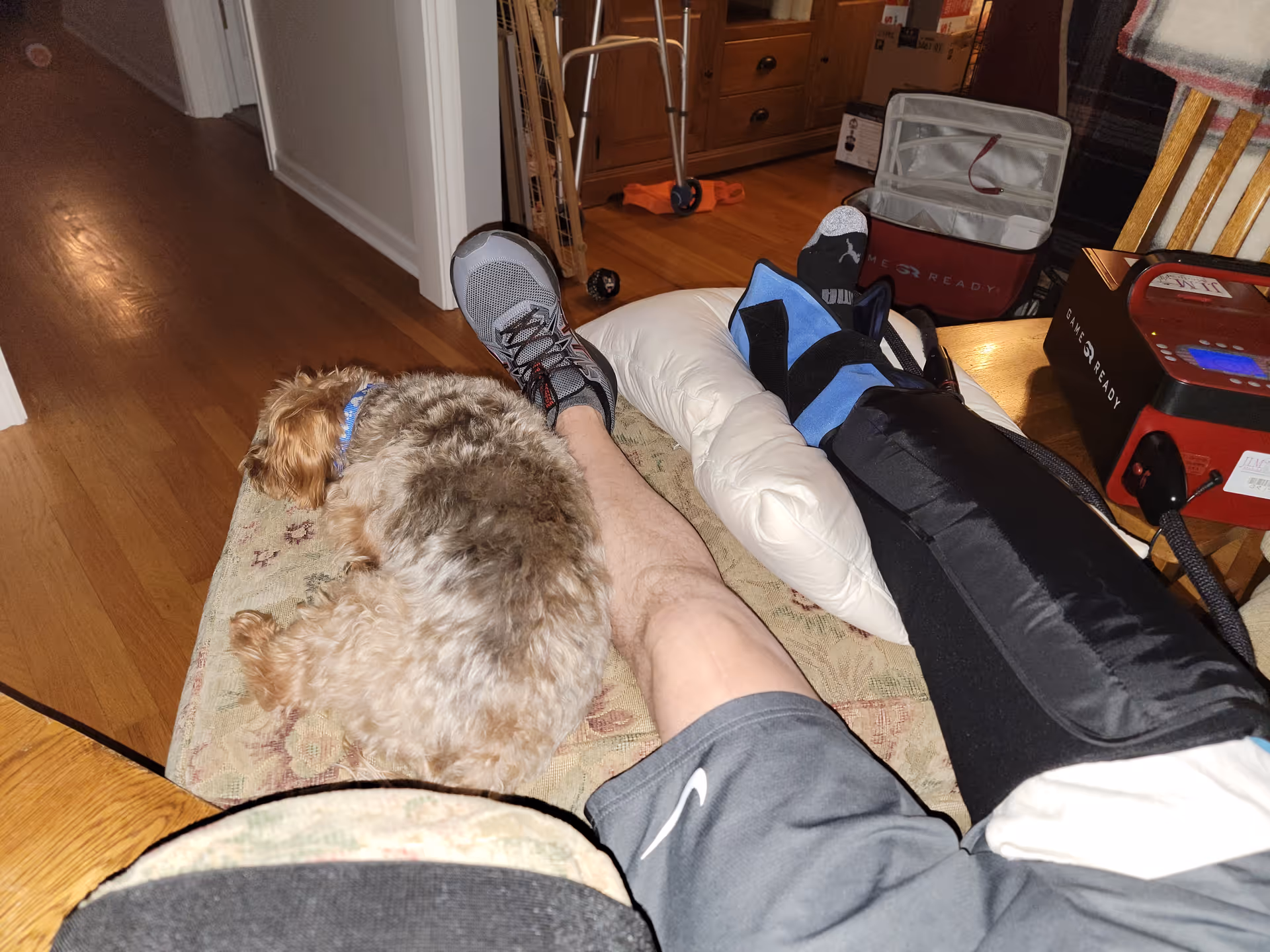 First-person view of a living room with a small dog beside a leg on a couch.