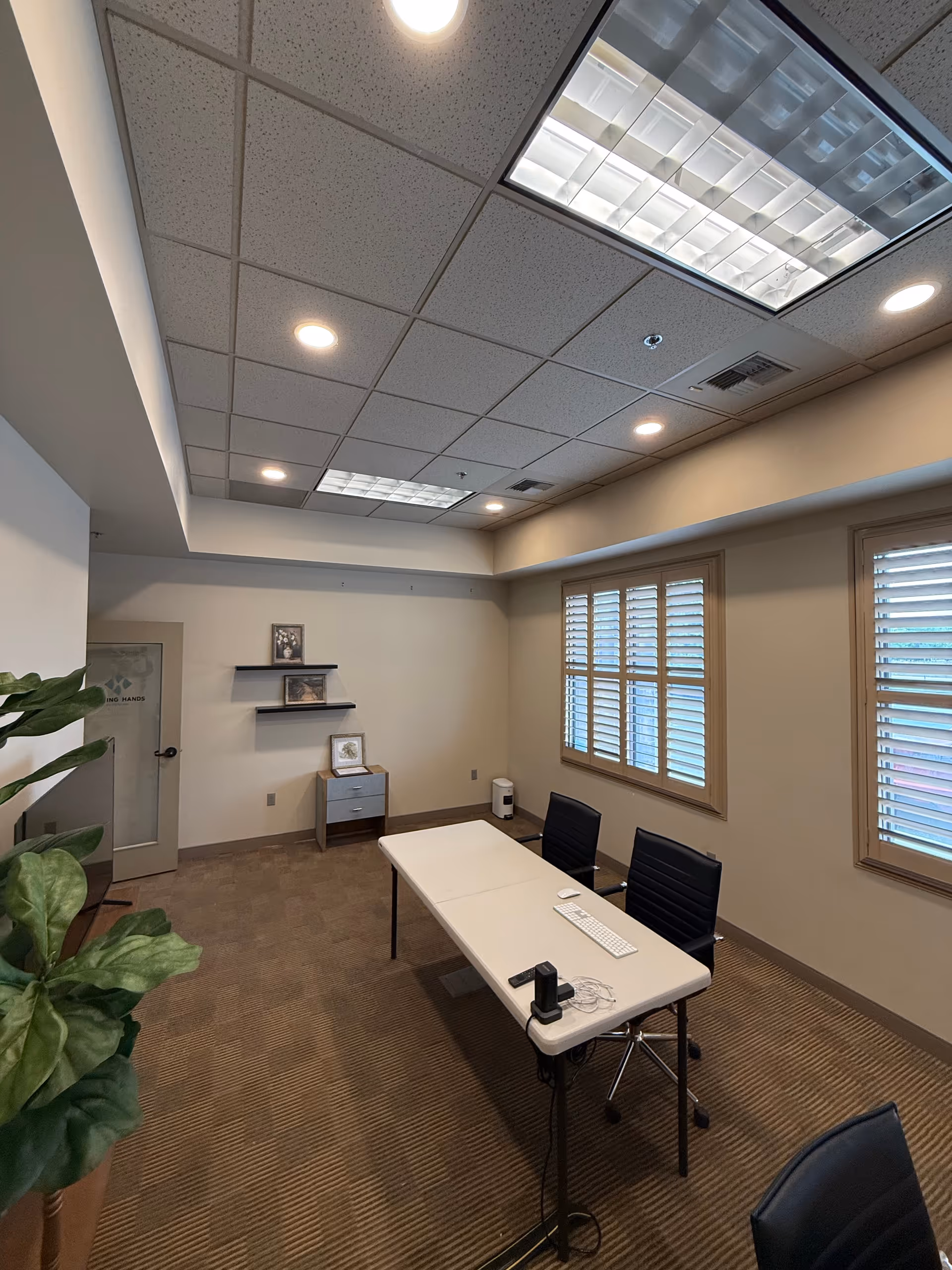 Office conference room with desk, chairs, shelves, a plant, and windows.