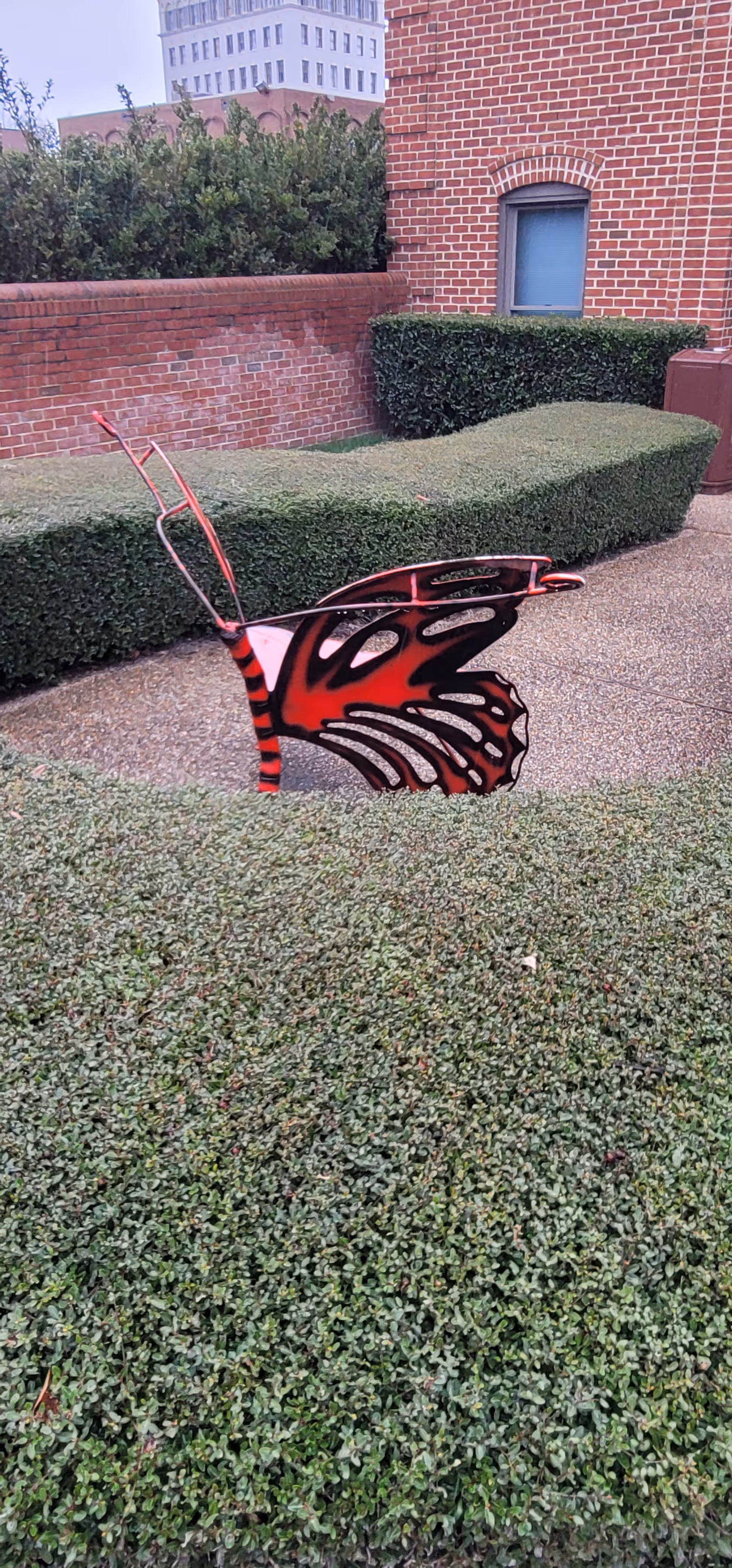 Red butterfly-shaped metal sculpture resting on a low hedge in a brick outdoor courtyard.