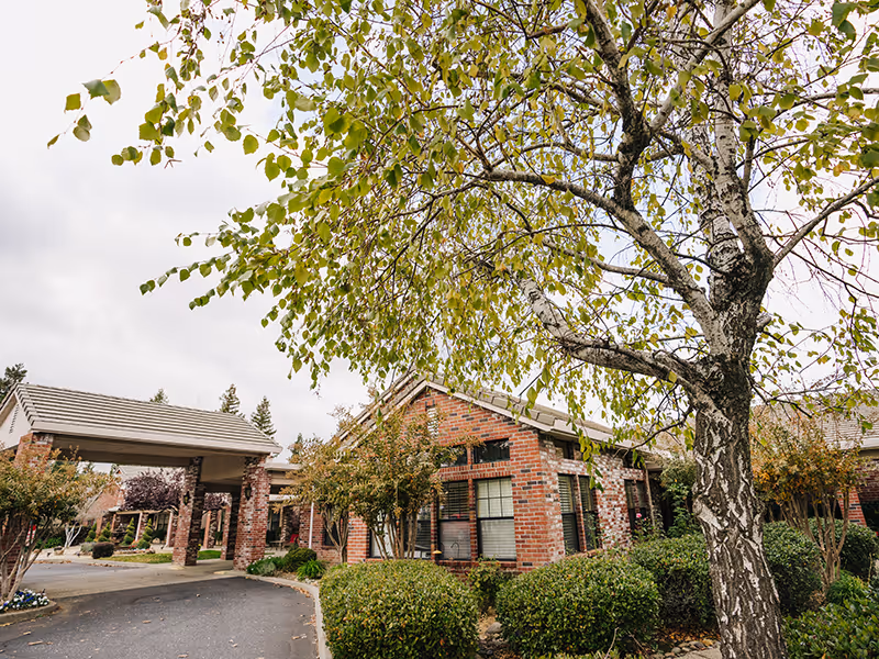 Brick assisted living building with a covered entrance, landscaped shrubs, and a large tree in the foreground.