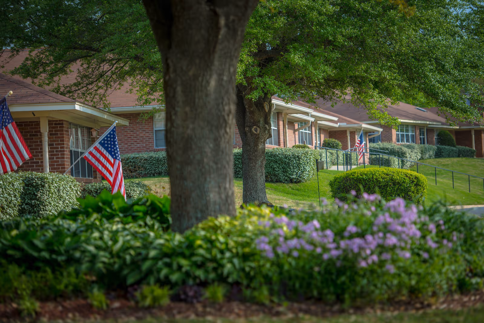 Row of brick single-story buildings with American flags, trees, shrubs, and purple flowers in front.