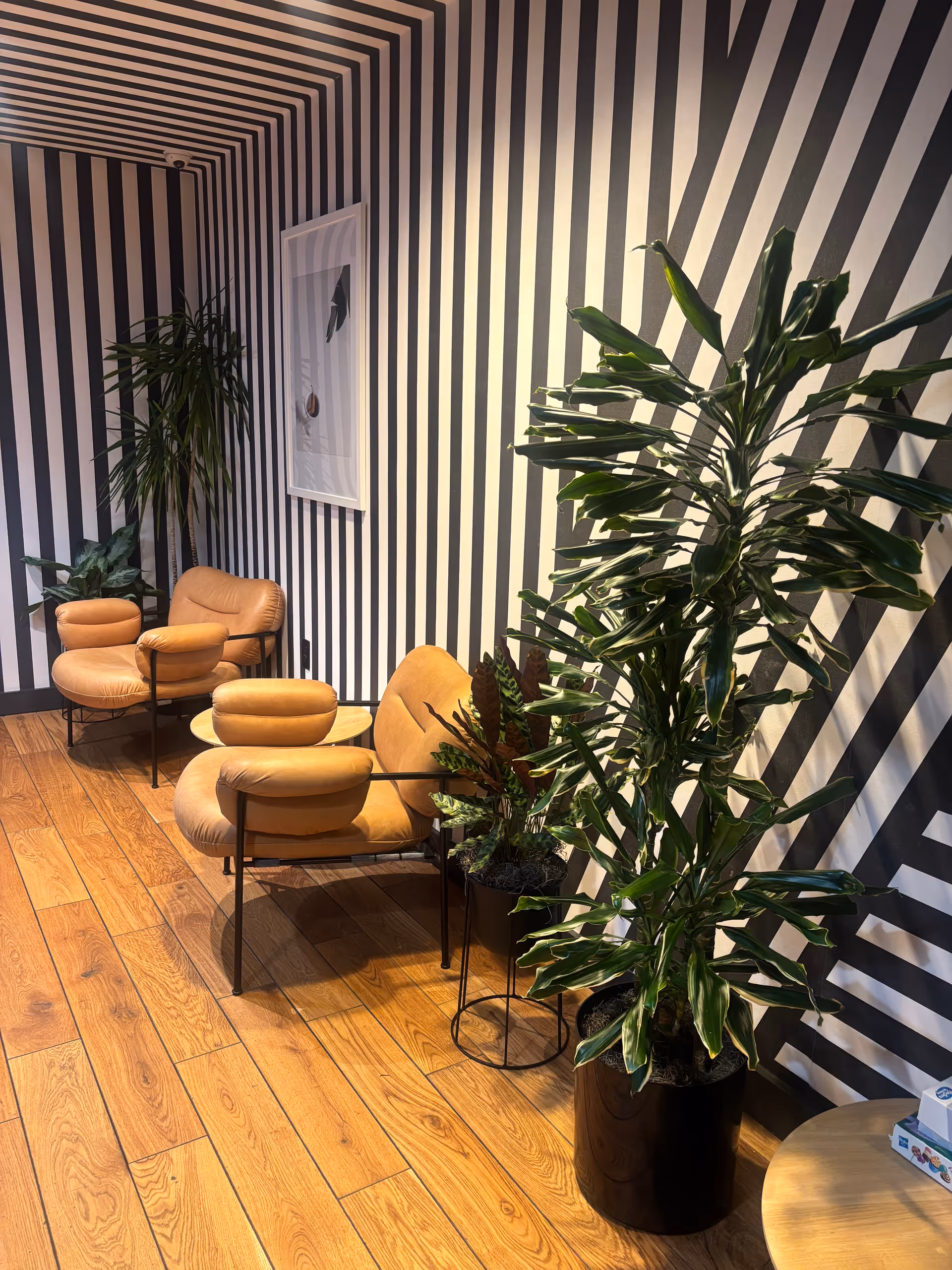 Modern striped-walled lounge area with tan chairs, wooden flooring, and potted plants.