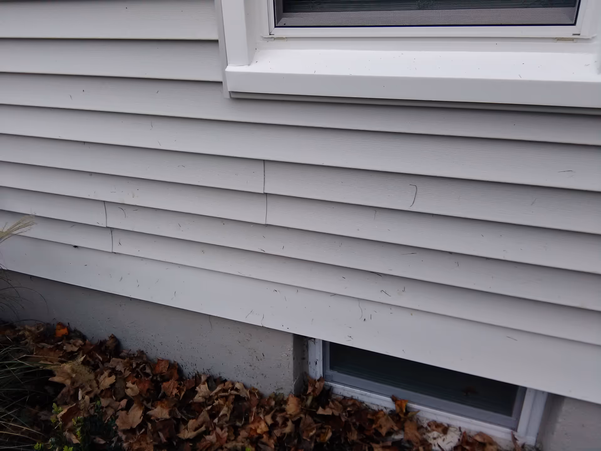 Exterior view of a white siding building with a window and fallen leaves.