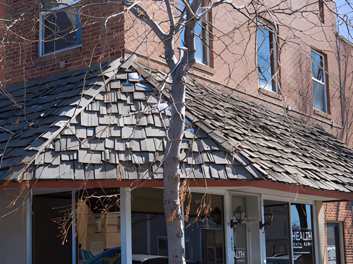 Brick building exterior with a sloped shingled roof and leafless tree in foreground.