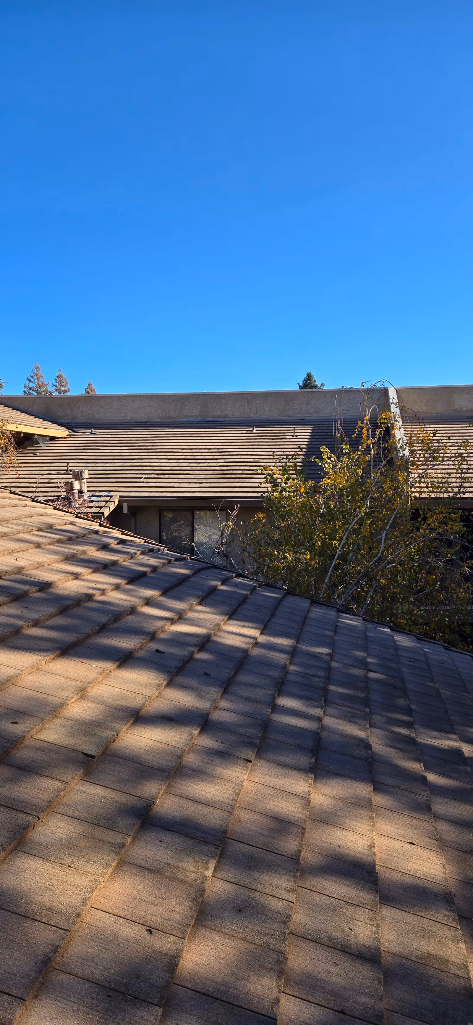 Clear blue sky above brown-tiled rooftops of a senior living community exterior.