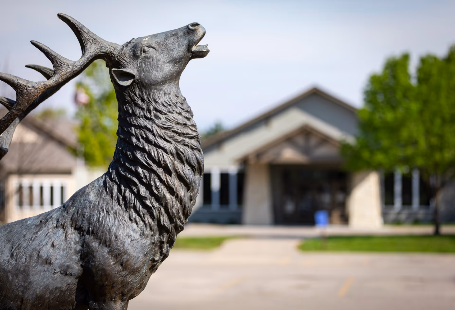 Close-up of a large bronze statue of a stag with antlers in front of a building with a peaked roof and large windows, surrounded by trees and a parking area.