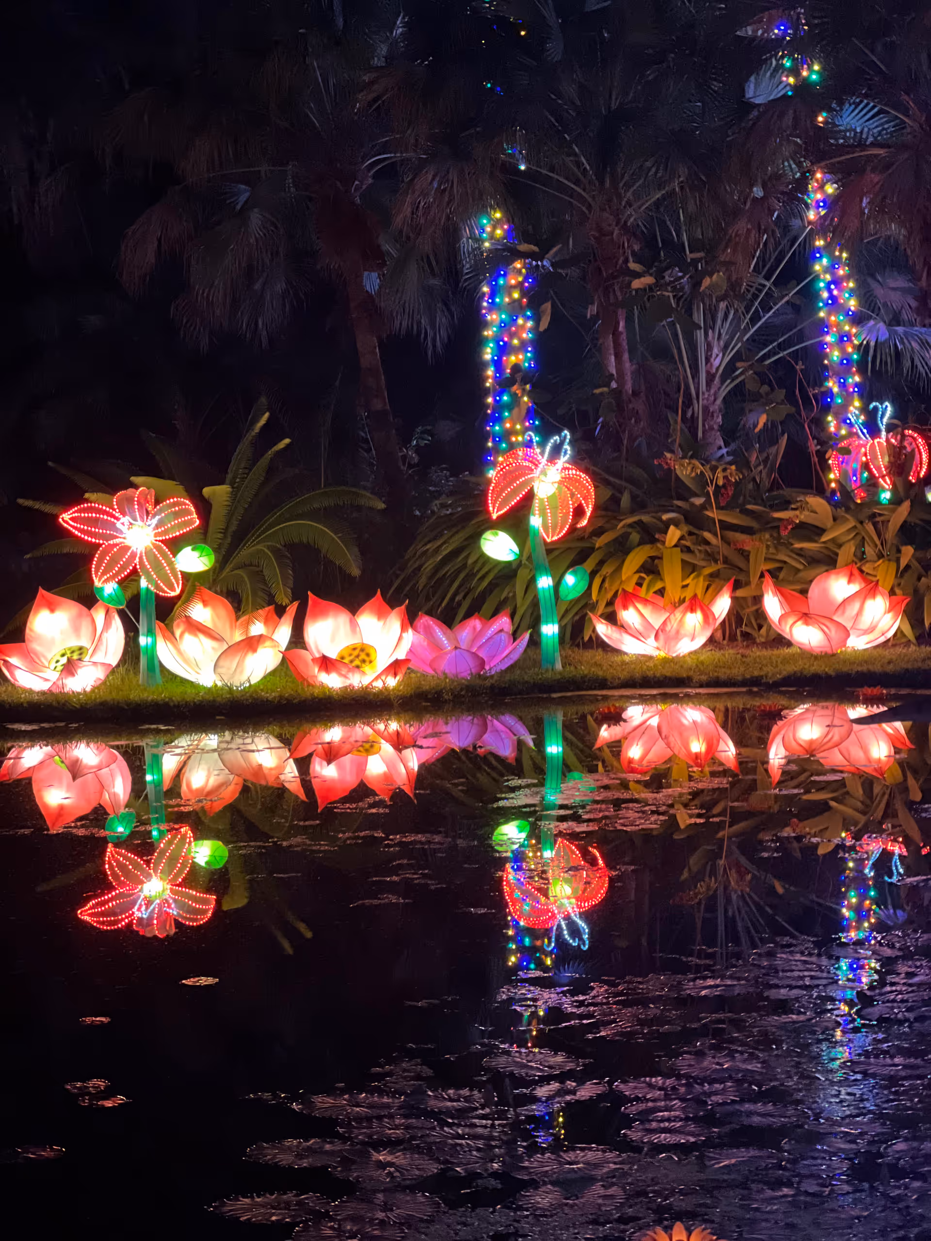 Nighttime view of colorful, illuminated garden flowers by a still pond.