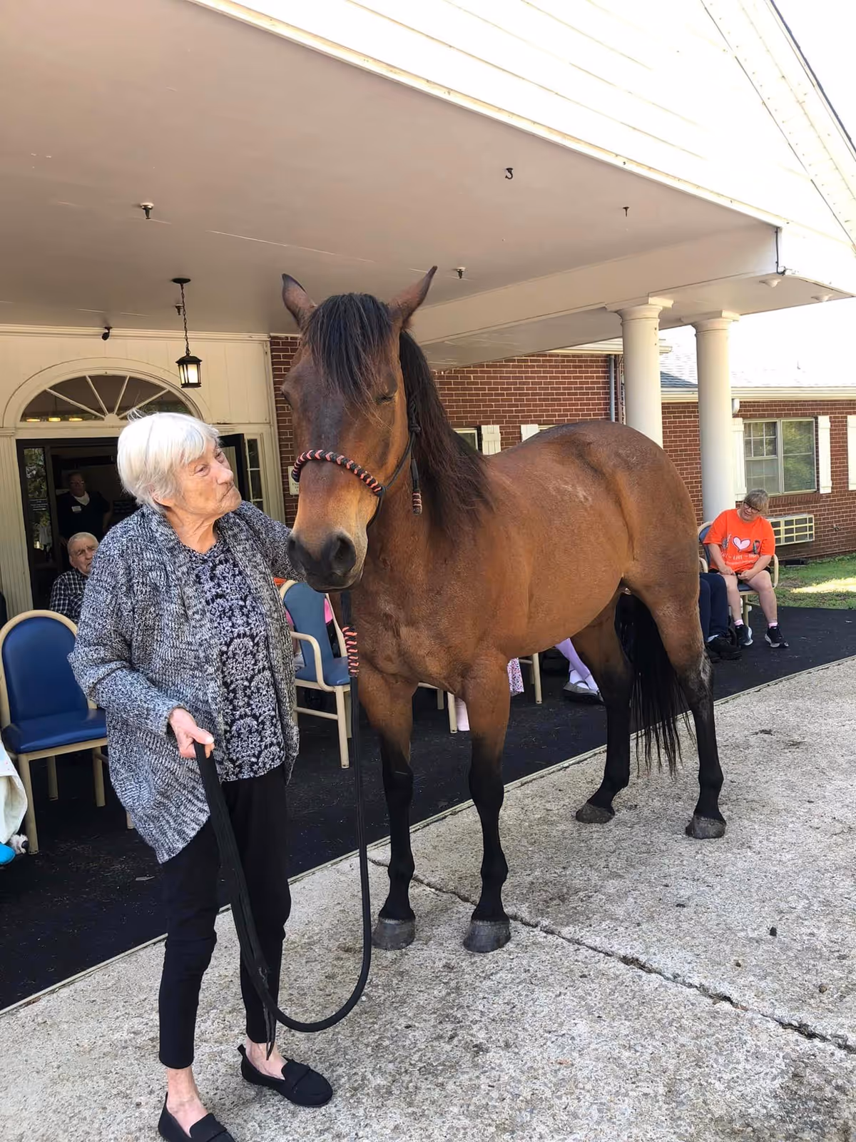 Outside Comforting Hands Hospice, an elderly woman holds a horse near seated residents.