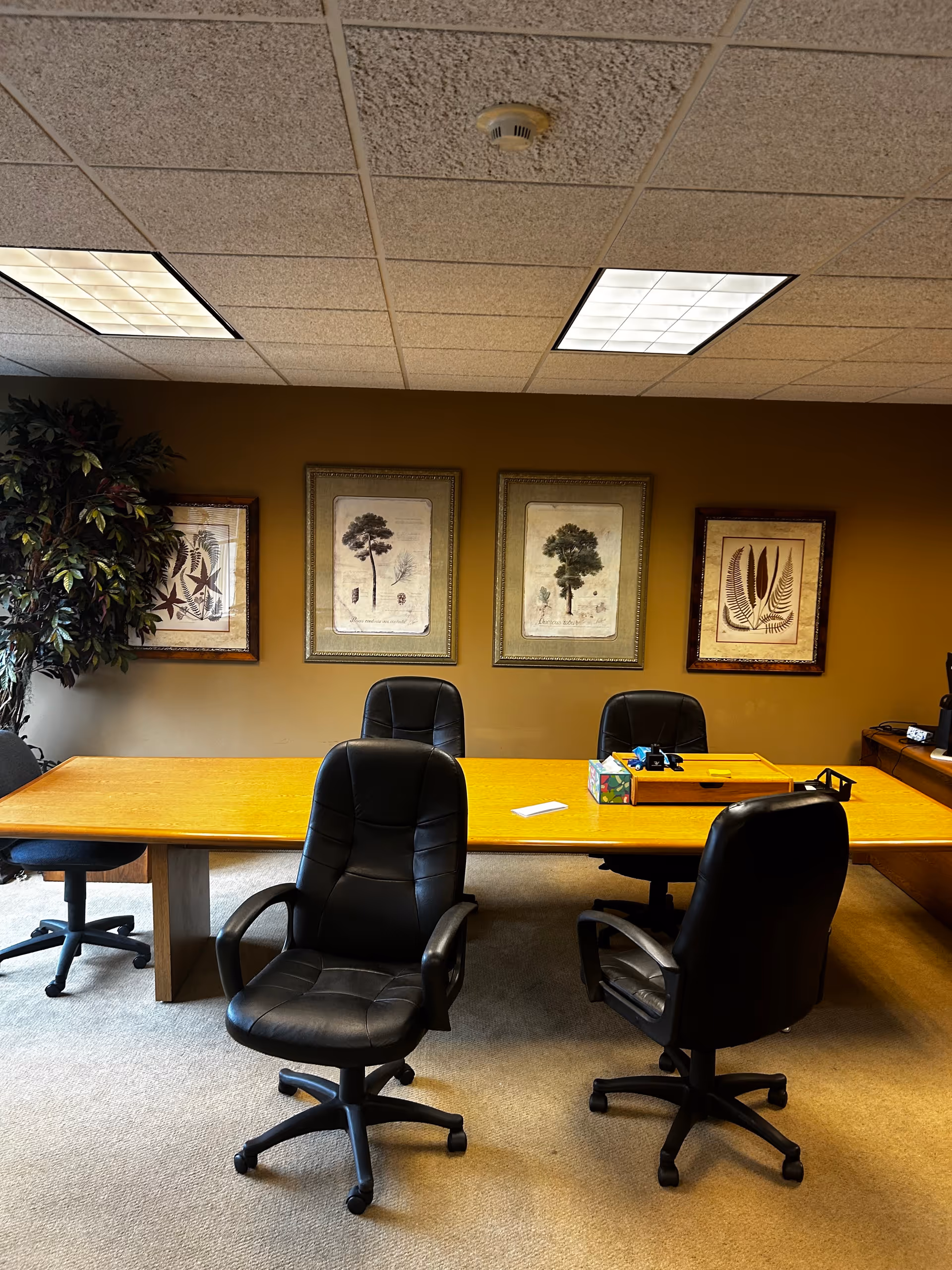 Office-style conference room with a large wooden table, black chairs, and framed botanical art.