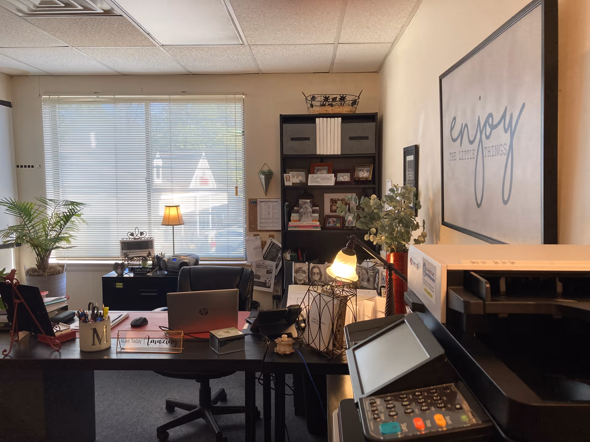 Office workspace with desk, computer, printer, shelves, and decorative plants.