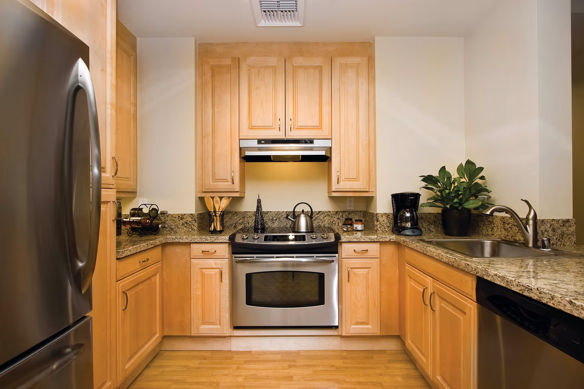 Modern kitchen with stainless steel appliances, light wood cabinets, granite countertops, and a sink with a potted plant.