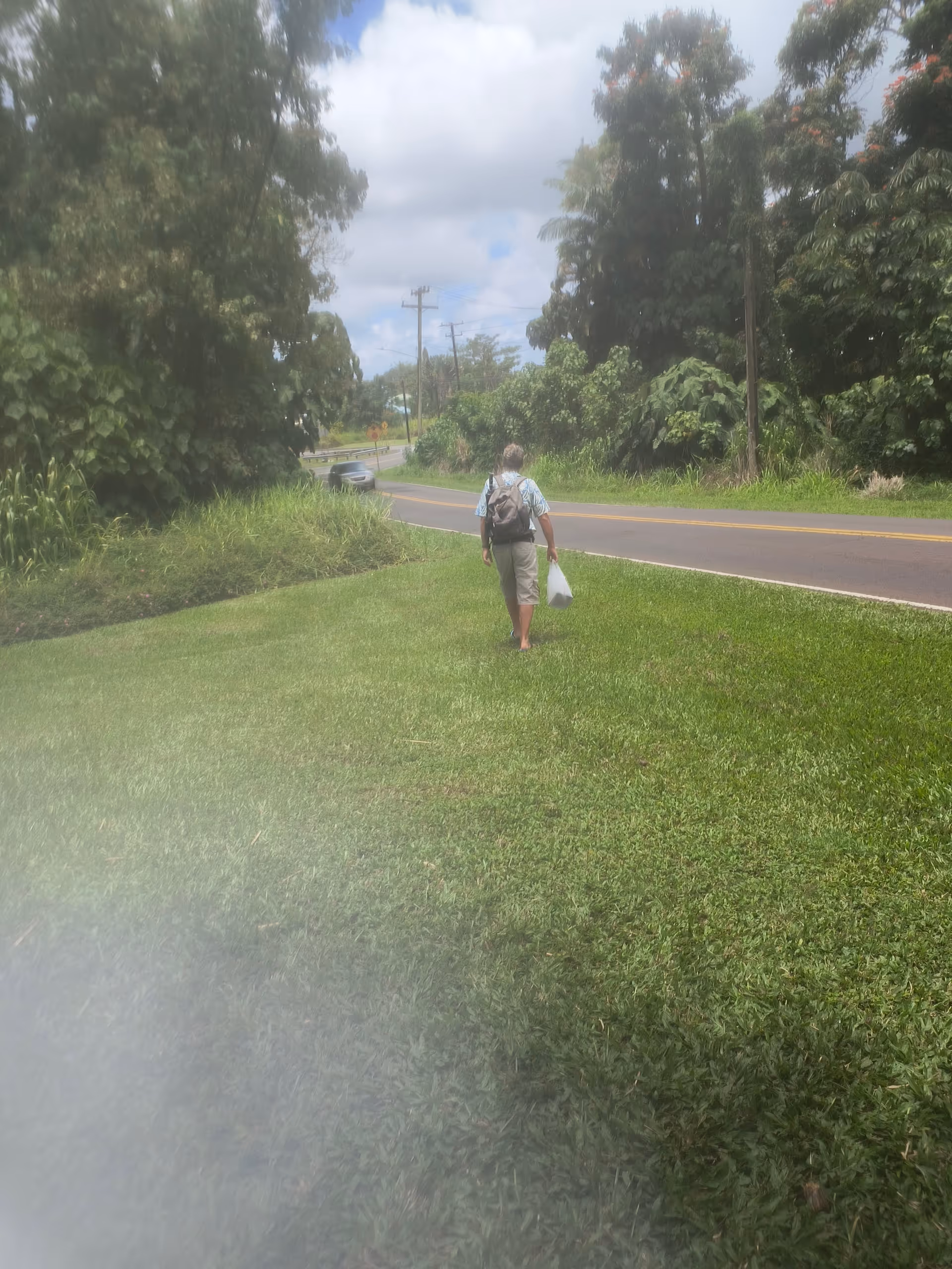 Person with backpack walks along a grassy verge beside a road.