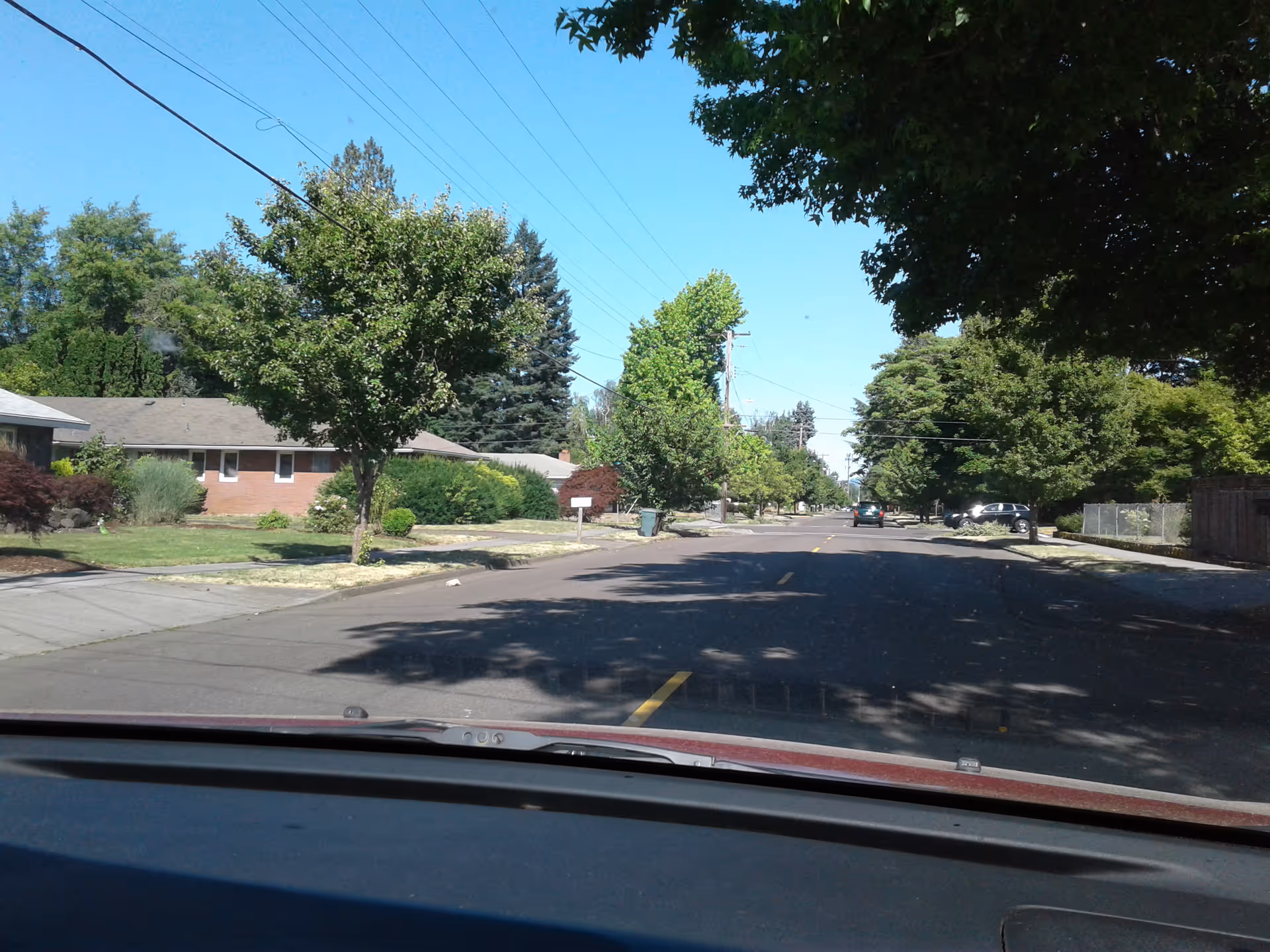 Sunny suburban street view with trees and houses, photographed from inside a car.