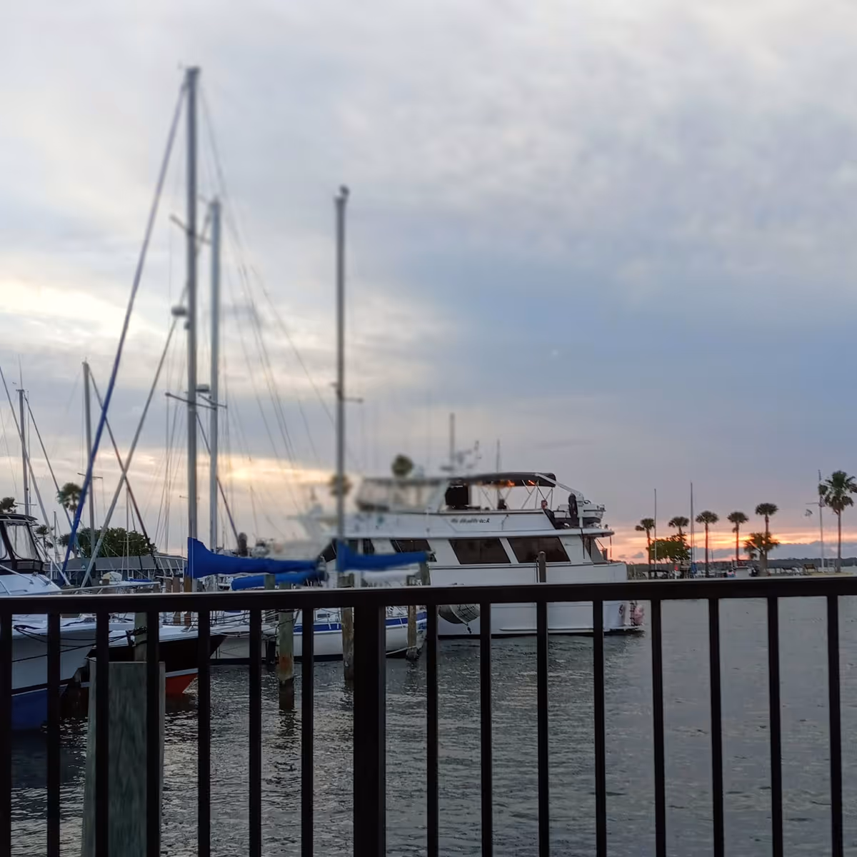 Marina scene with docked sailboats, water, and a railing at sunset.