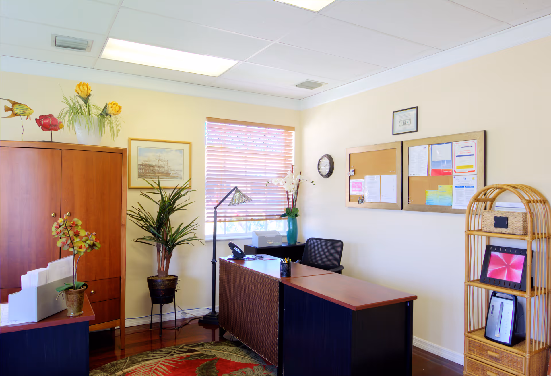 Reception area with desk, bulletin board, plants, and a cabinet in a sunny room.
