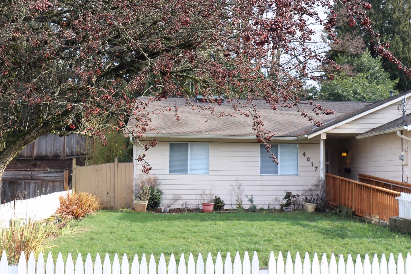 Front view of a single-story beige home with a lawn, fence, and overhanging tree branches