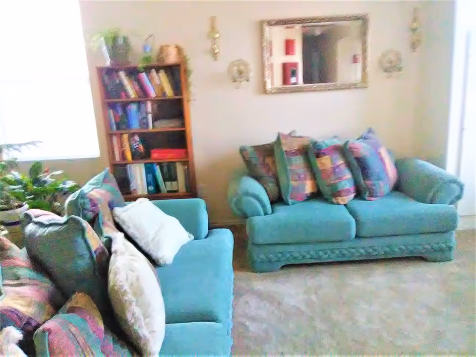 Bright turquoise living room with patterned pillows, bookcase, and plants.