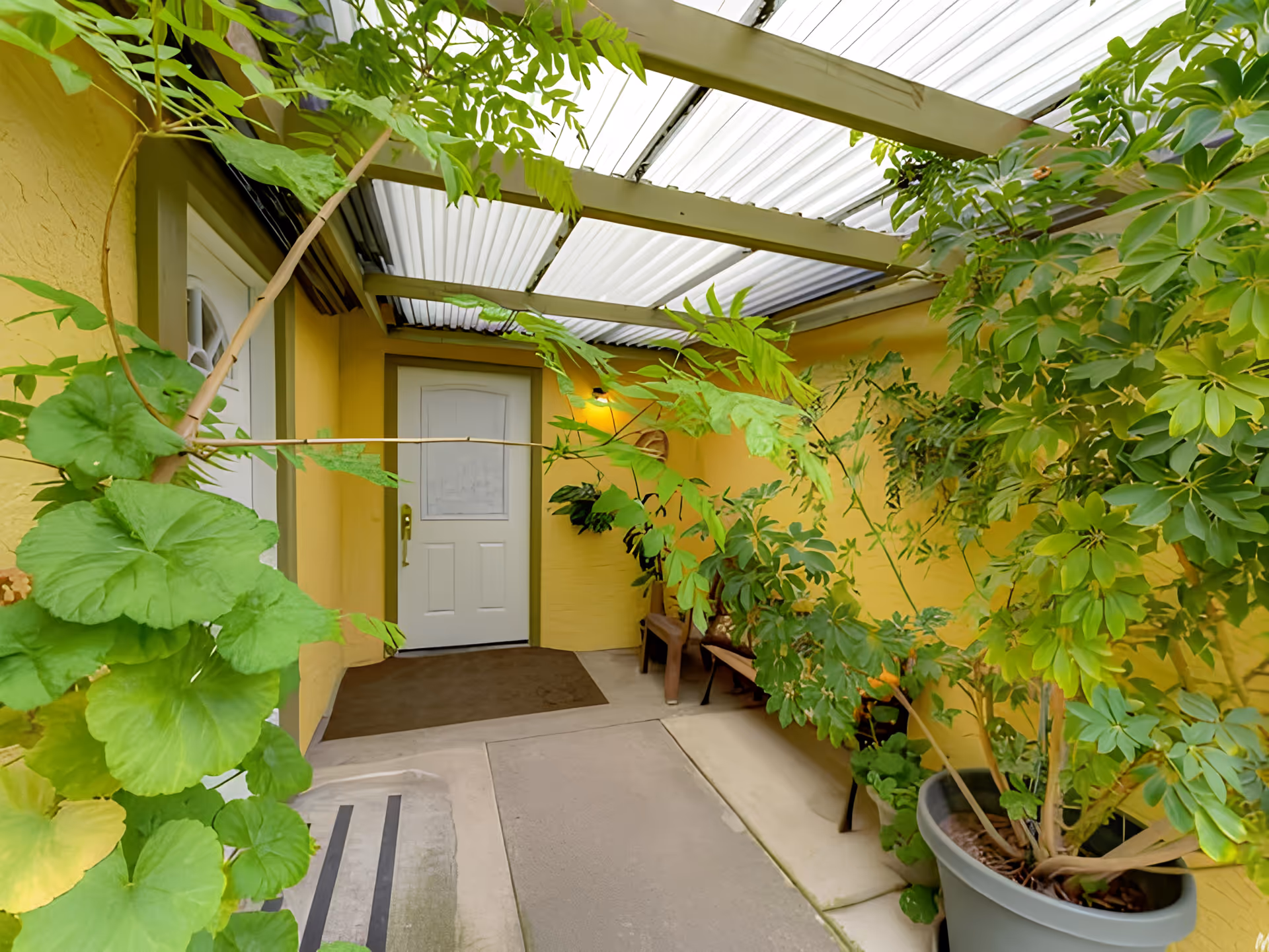 Covered entryway with potted plants and a white door under a translucent roof.