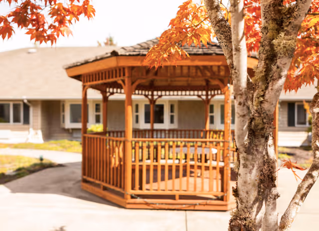 A wooden gazebo sits in a courtyard framed by autumn leaves with a single-story building in the background.