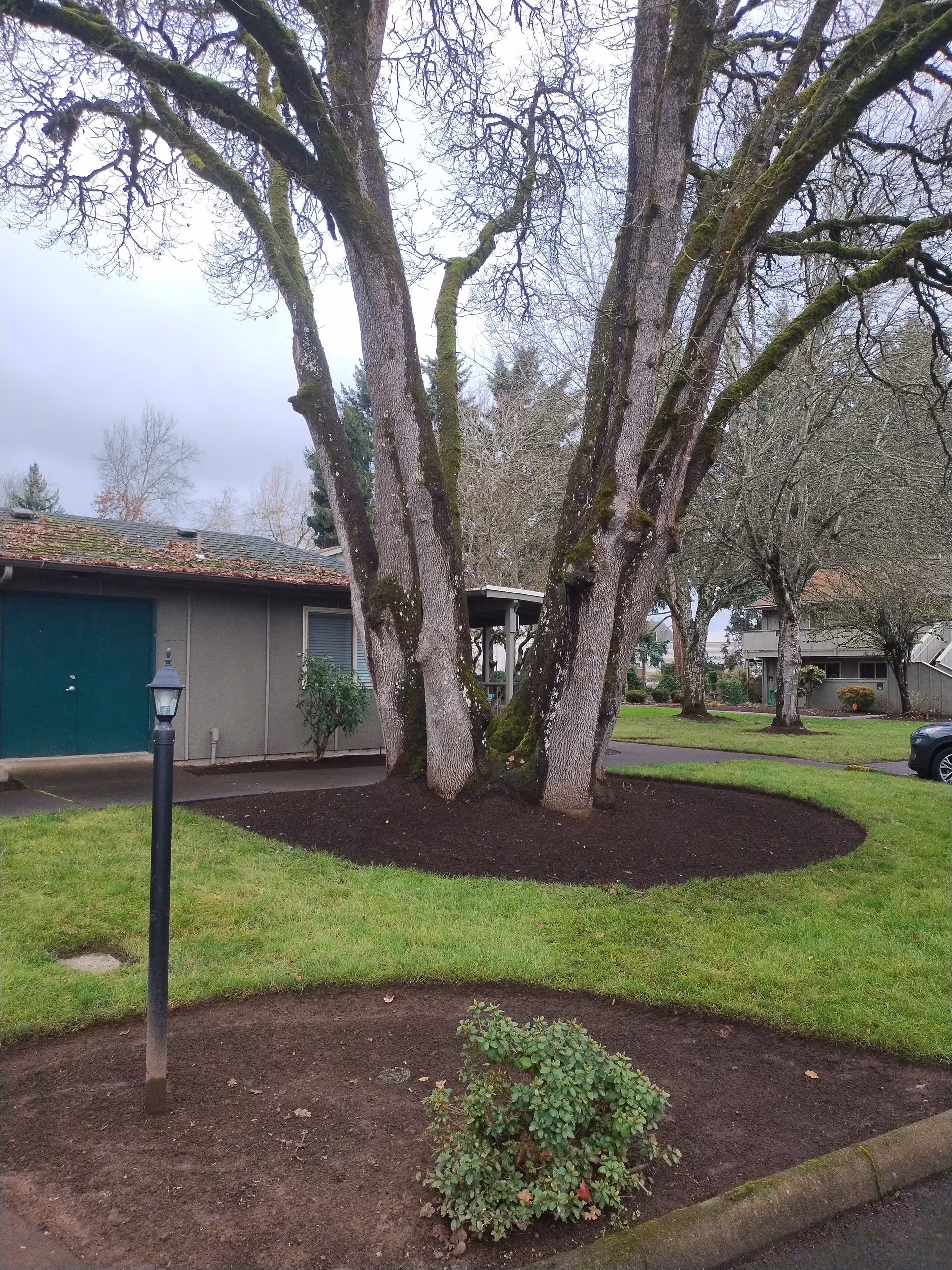 Front exterior of Landsby Place Apartments showcasing a mulched tree circle and surrounding lawn.