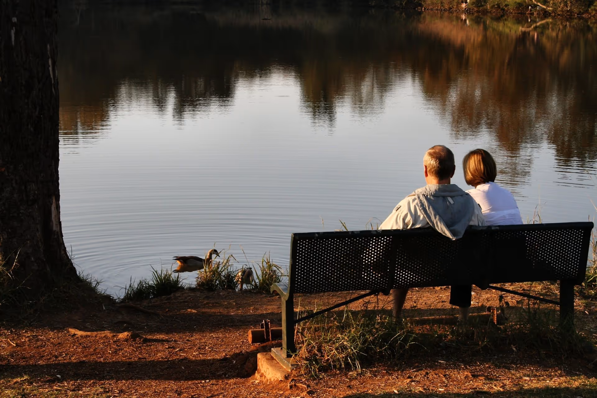 Two adults sit on a bench beside a tranquil lake, watching ducks.