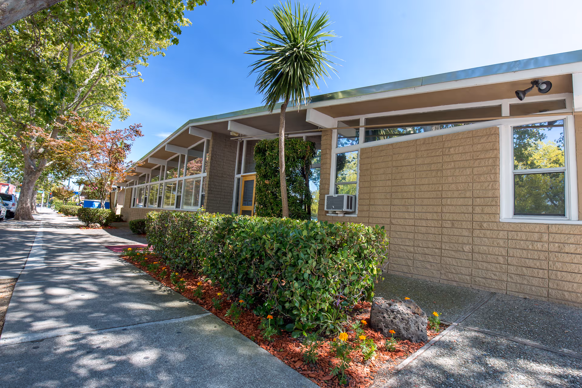 Exterior view of Windsor Rosewood Care Center showing a single-story building with large windows, beige brick walls, and a landscaped area with bushes, flowers, and a palm tree along the sidewalk under a clear blue sky.