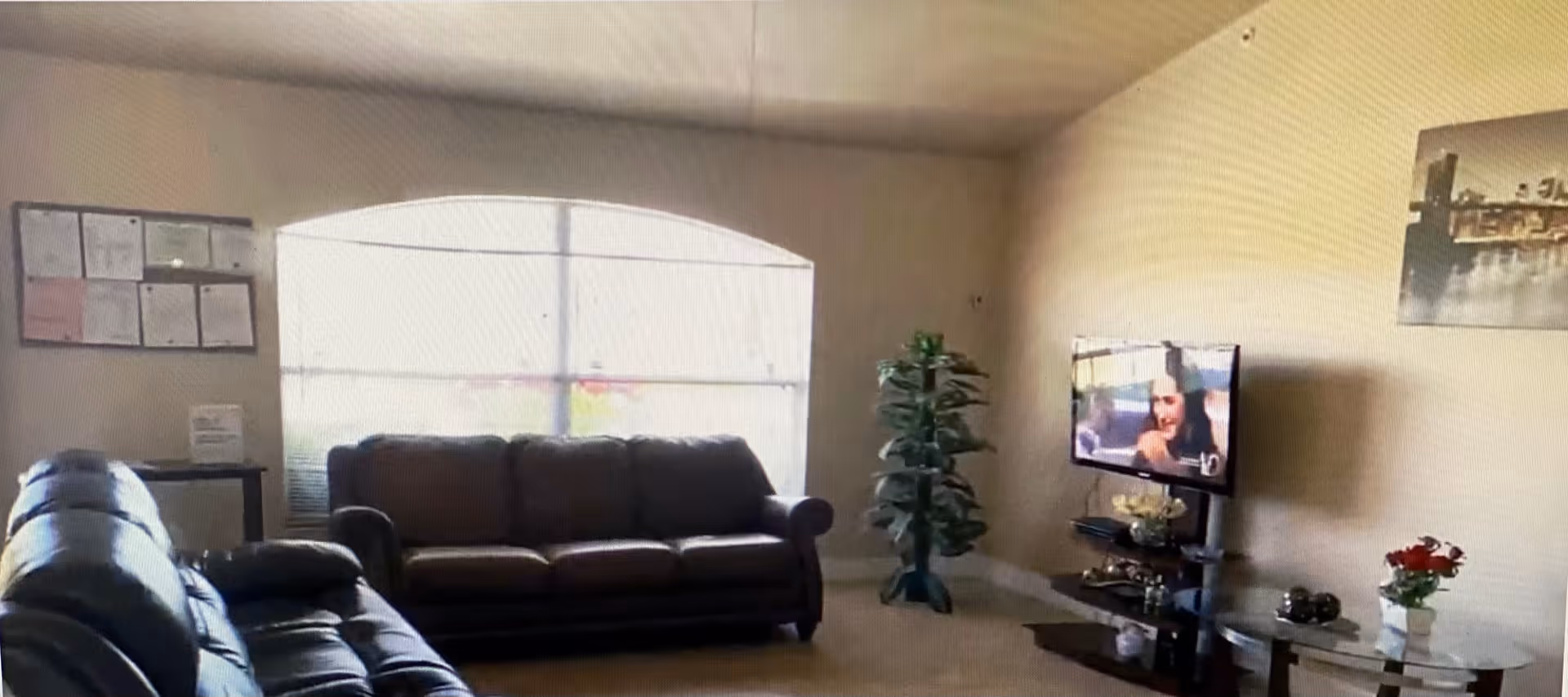 A living room with two dark leather sofas facing a wall-mounted flat-screen TV. There is a large arched window behind one sofa, a tall green plant in the corner, and a small glass table with a flower vase next to the TV stand. The walls are light-colored, and there is a framed picture hanging on the wall.