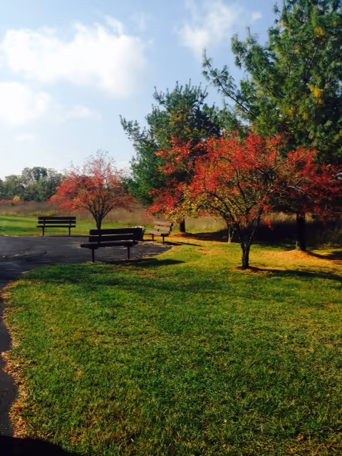 Park-like outdoor area with benches, grassy lawn, and trees showing autumn foliage under a partly cloudy sky.