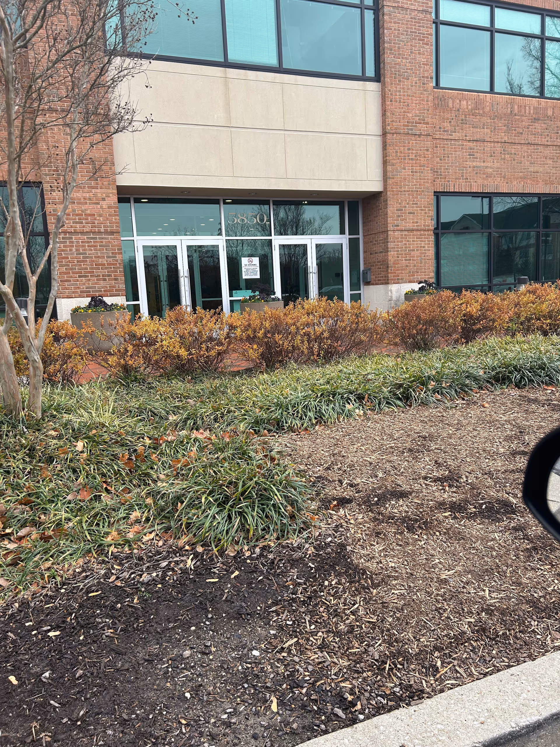 Brick building entrance with glass doors and landscaped shrubs in front.