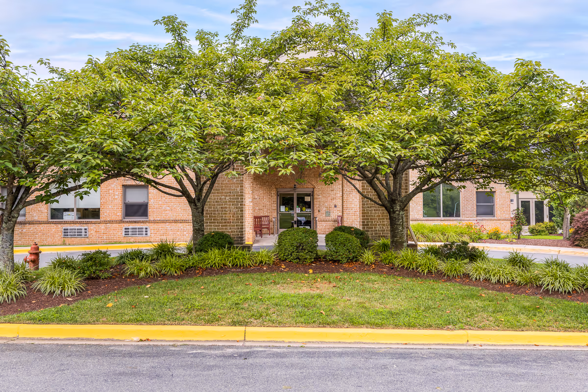 Oak Manor Center for Rehabilitation and Healthcare entrance framed by trees and shrubs