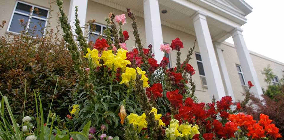 Red and yellow flowers in a garden bed in front of a white-columned building entrance.