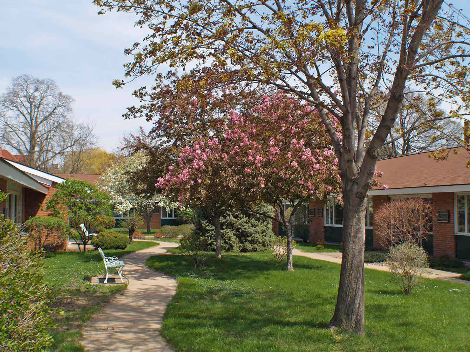 A landscaped outdoor courtyard area at Cass Street Assisted Living featuring a winding concrete pathway, green grass, blooming trees with pink and white flowers, bushes, and a white bench. The courtyard is surrounded by single-story brick buildings with windows.
