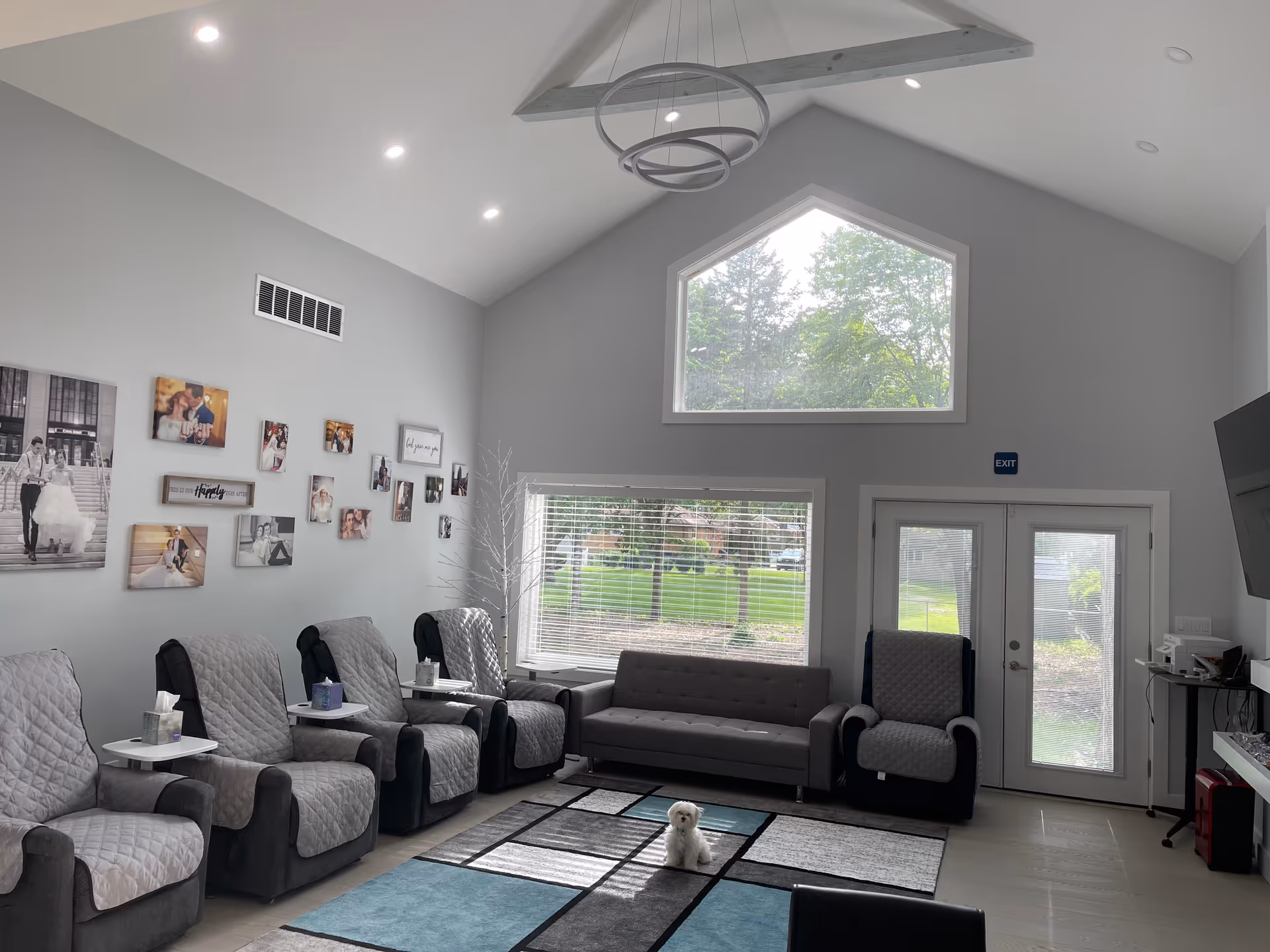Bright senior living lounge with grey seating, wall photo collage, large windows, and a small dog.