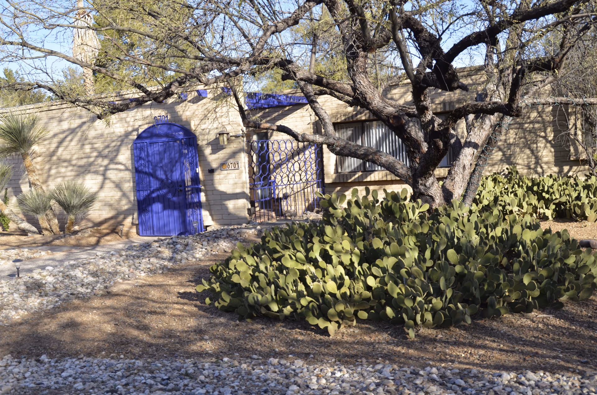 Exterior view of Aging Grace facility with purple door, gate, and desert plants