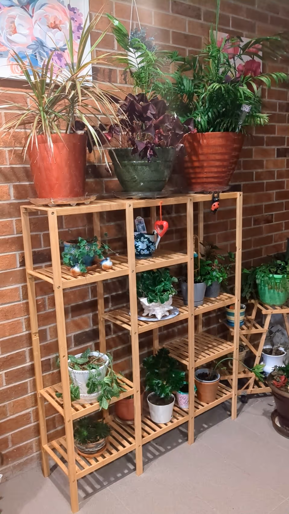 Wooden multi-shelf filled with various potted plants against a brick wall.
