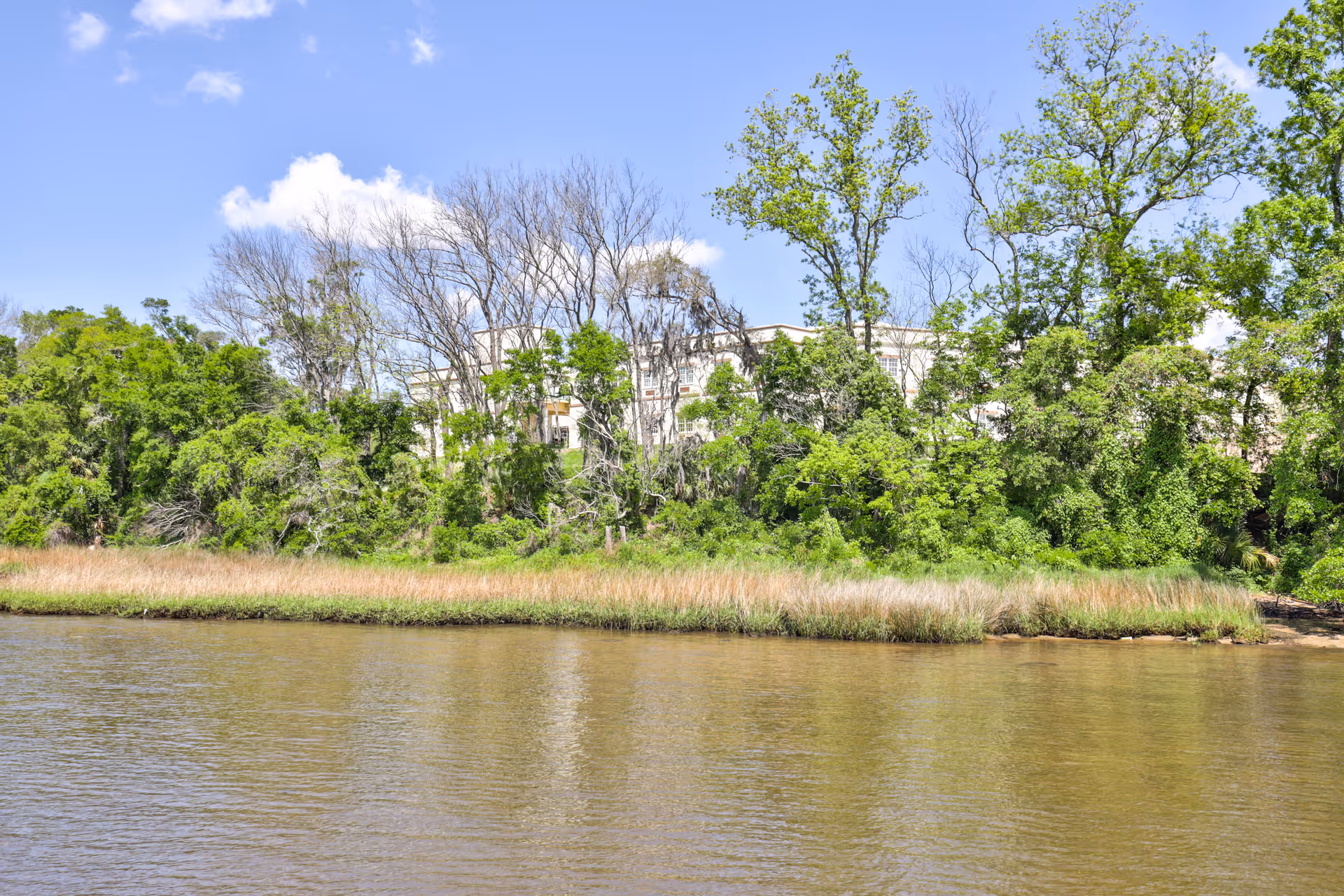 Sunlit riverfront with grassy bank, dense trees, and a distant building behind foliage.
