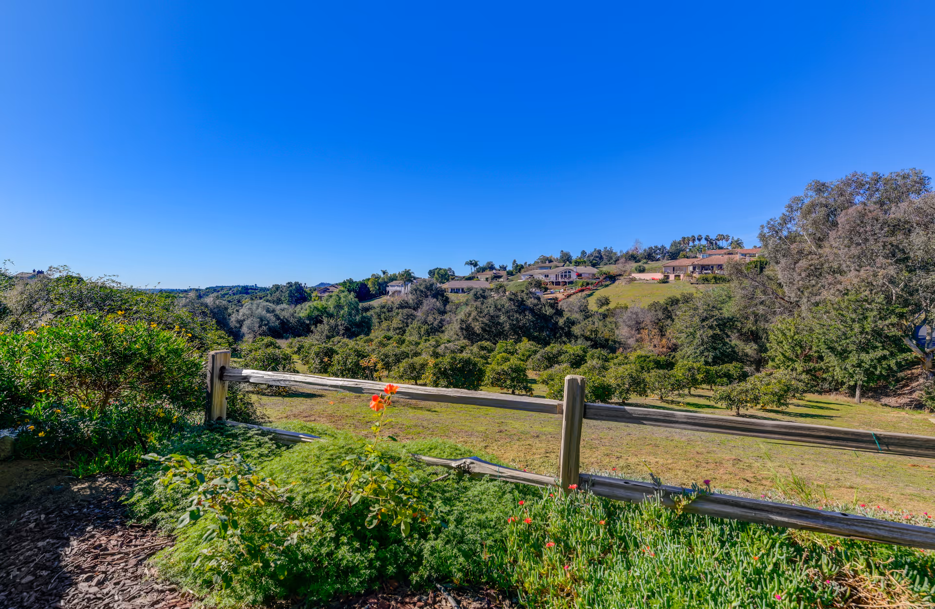 Sunny outdoor landscape featuring rolling hills, trees, and a wooden fence with distant houses.