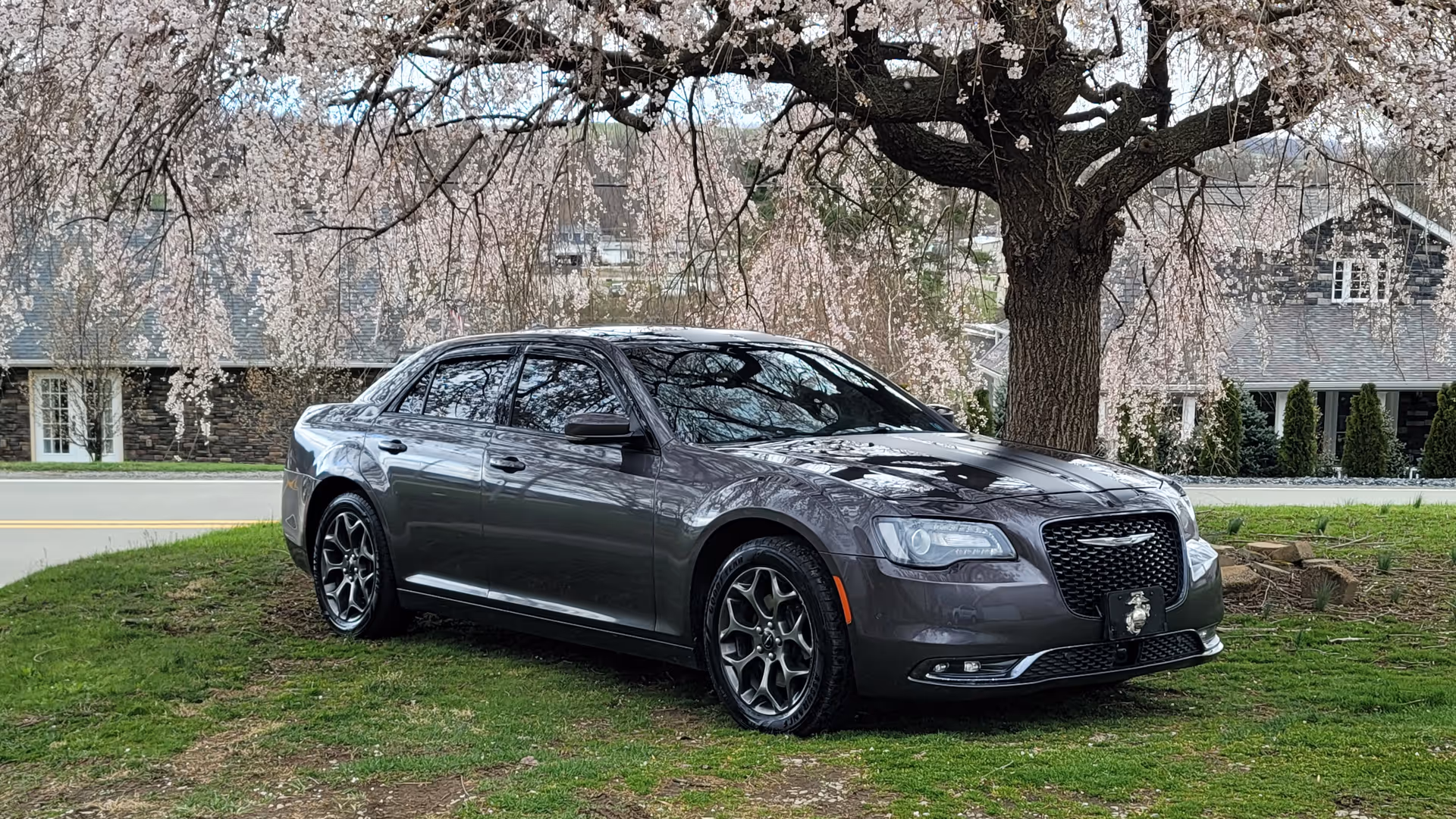 A gray sedan parked on a grassy area beneath flowering trees near a residential street.