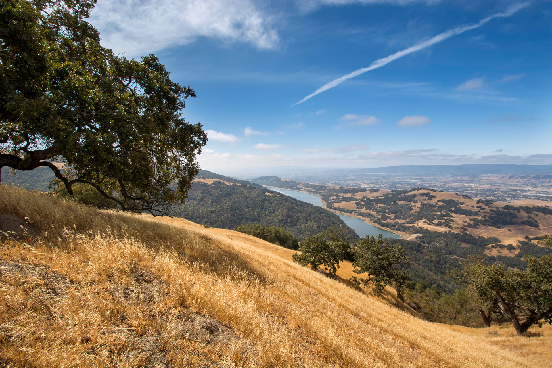 Wide view of rolling golden hills, trees, and a distant river under blue sky.
