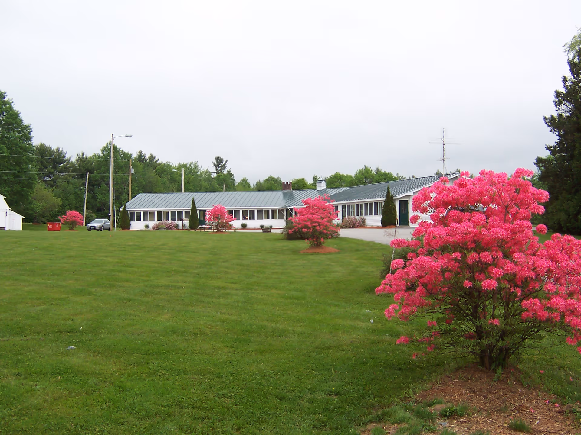 A single-story white building with a gray metal roof surrounded by a large green lawn and several vibrant pink flowering bushes. Trees and a cloudy sky are visible in the background.