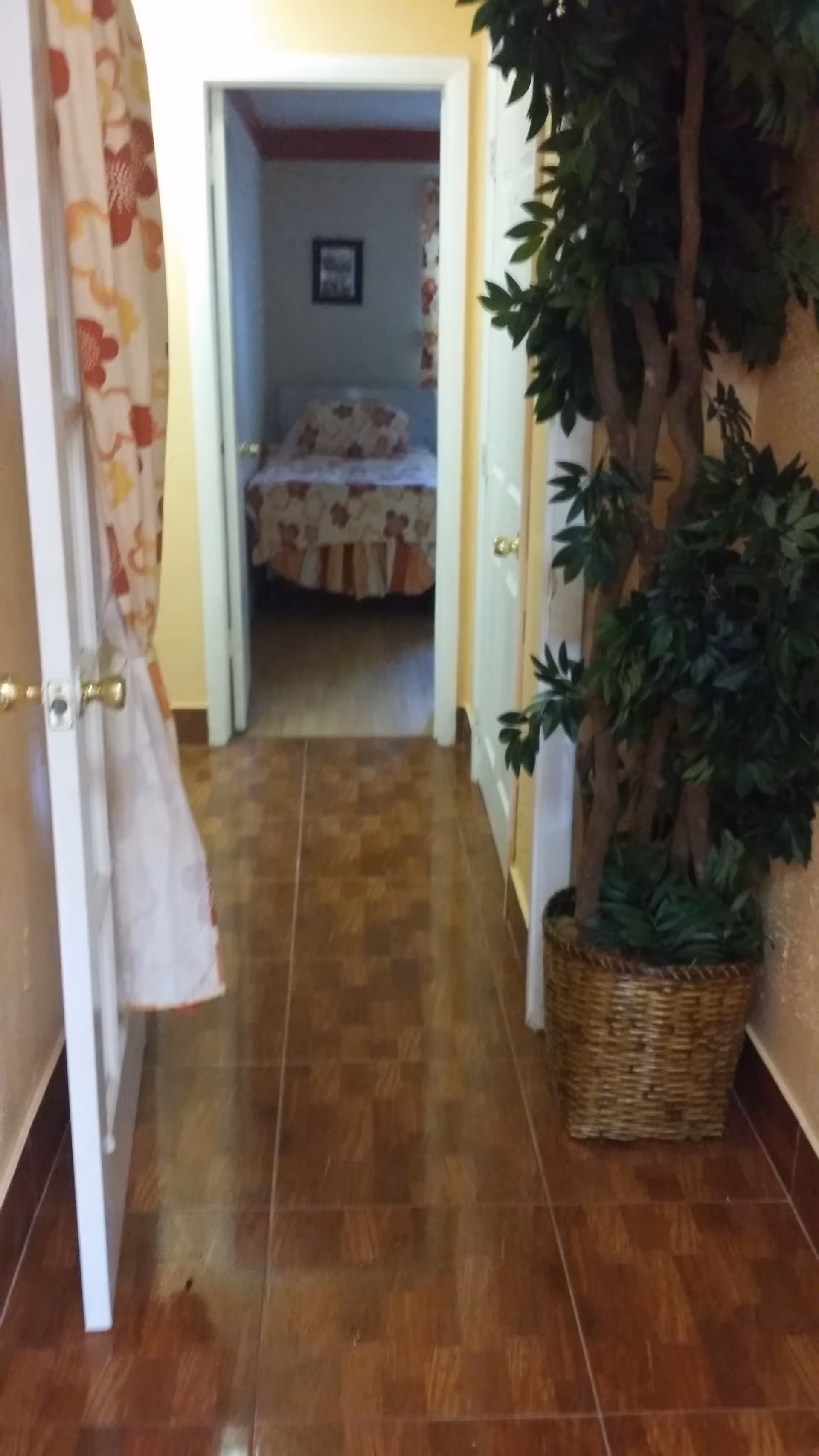 Hallway leading to a bedroom, with a large potted plant and patterned curtains.