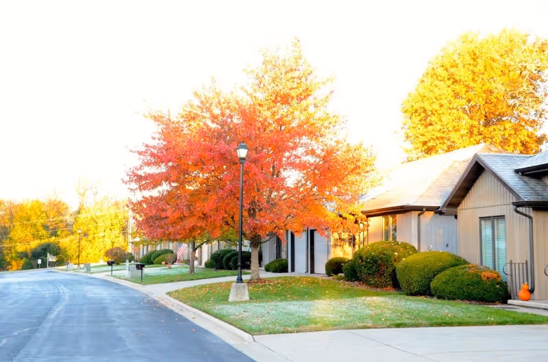 A quiet residential street in a senior living community with single-story buildings, neatly trimmed bushes, and a tree with vibrant red and orange autumn leaves. A streetlamp stands near the tree, and the sky is bright.
