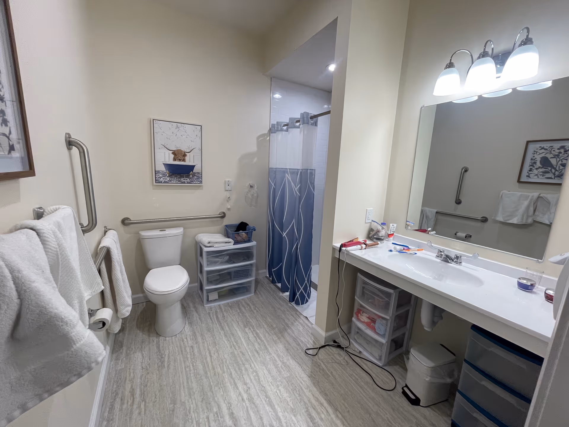 Well-lit senior living bathroom with toilet, sink, shower, towels, and grab bars.