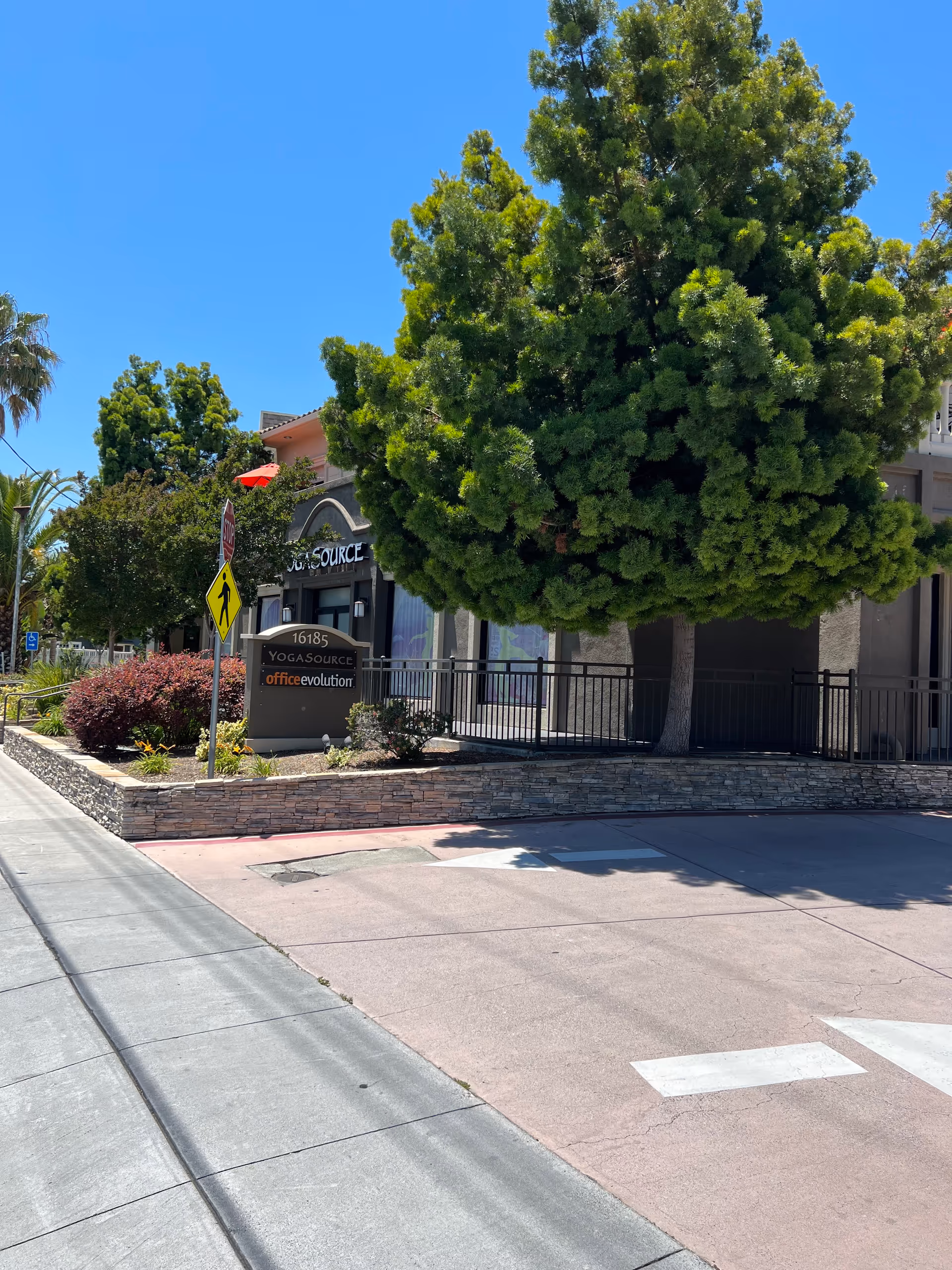 Sunlit street view with shops, a large tree, and a stone planter.
