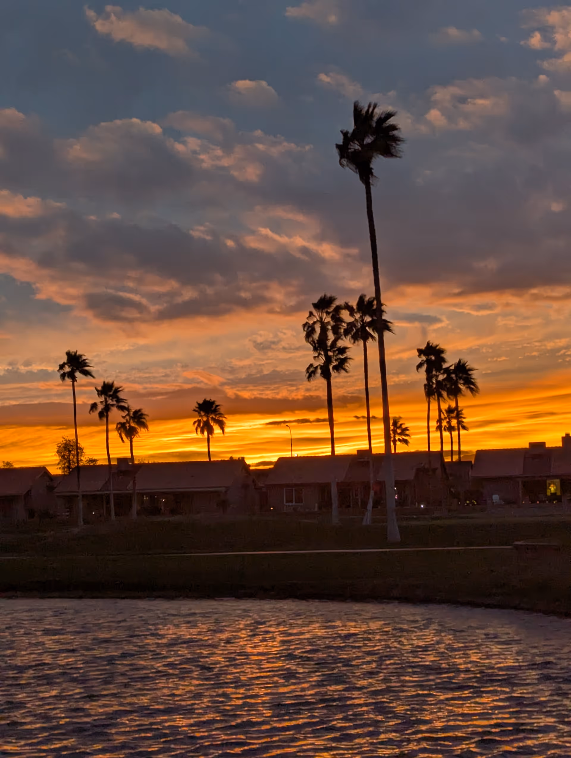 Sunset over Sunbird facility exterior with tall palm trees beside the water.