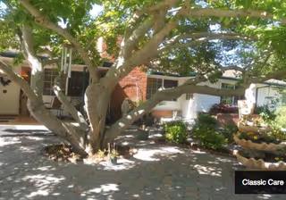 Front exterior of Classic Care Home-Walnut Creek with a large tree and seating.