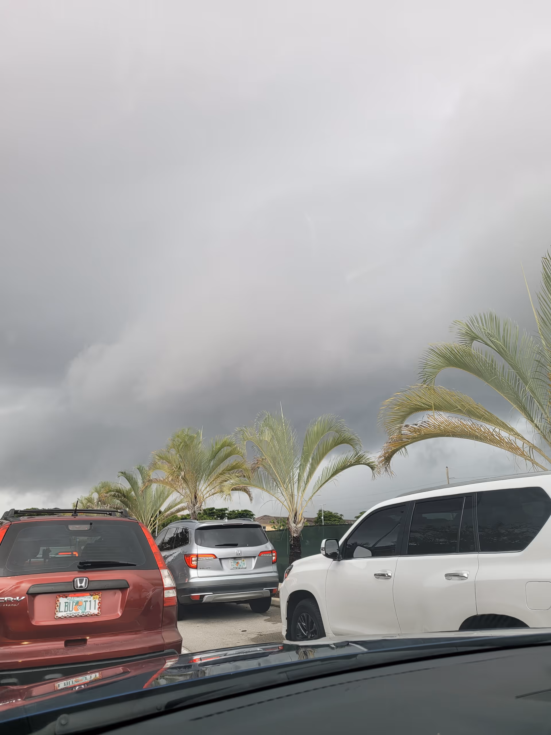 Overcast sky above a parking lot with several cars and palm trees.