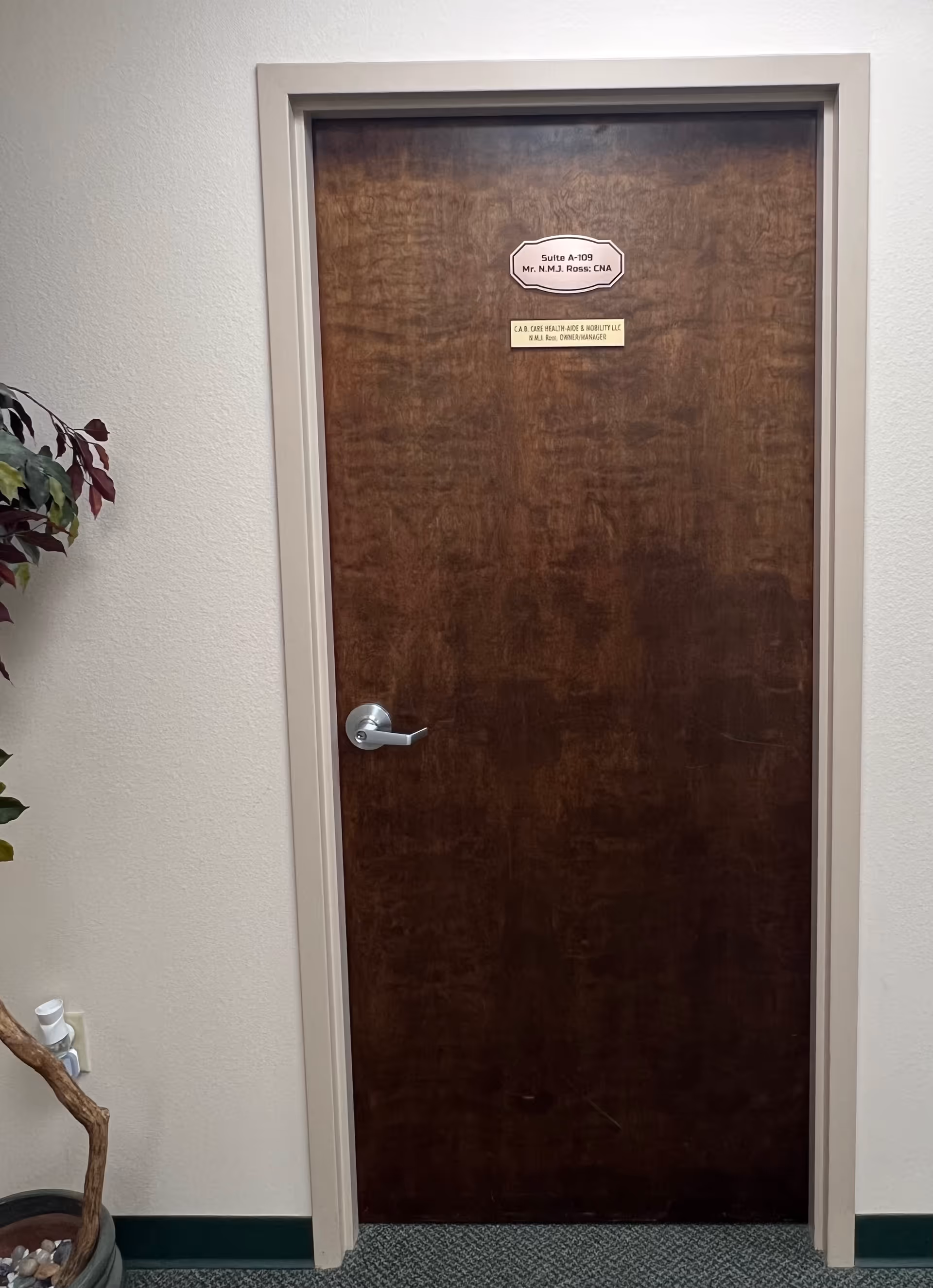 Dark wood interior door in a hallway with a handle, plant, and wall sign.