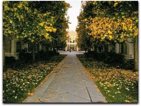 A tree-lined walkway with fallen leaves leads to a senior living facility entrance.