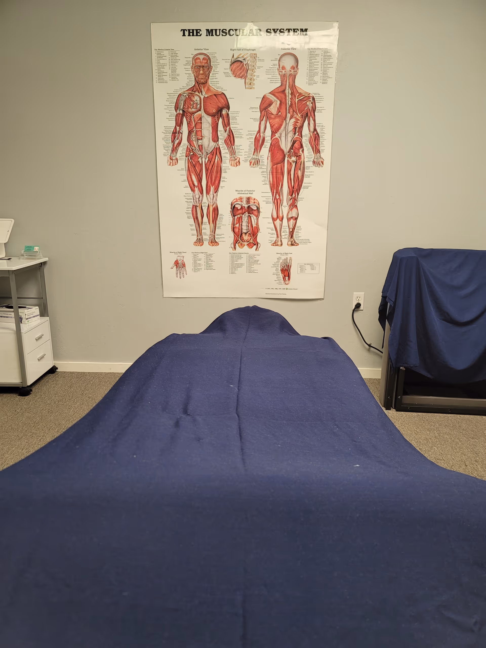 An examination room with a blue massage table and a muscular system poster.